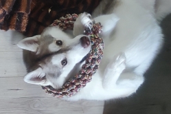 Slavic Faith Miko